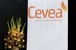 cevea-intro-029