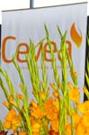 cevea-intro-031