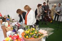 2013-04-29_13-40-54