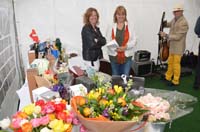 2013-04-29_13-43-20