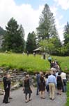 wedding-1084