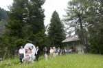 wedding-1144