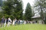 wedding-1145