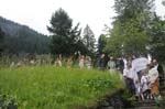 wedding-1153