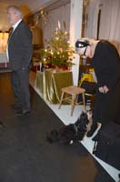 2013-12-15_19-18-45