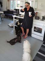2014-08-12_18-17-34