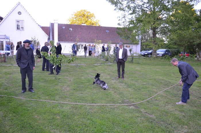 2015-06-06_21-03-48