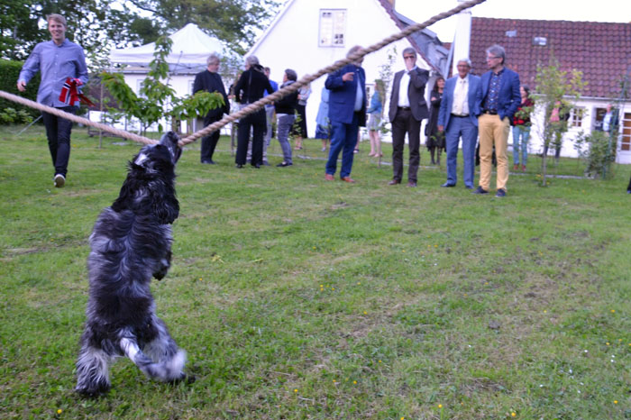 2015-06-06_21-04-50