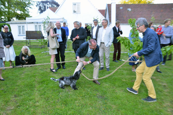 2015-06-06_21-11-29