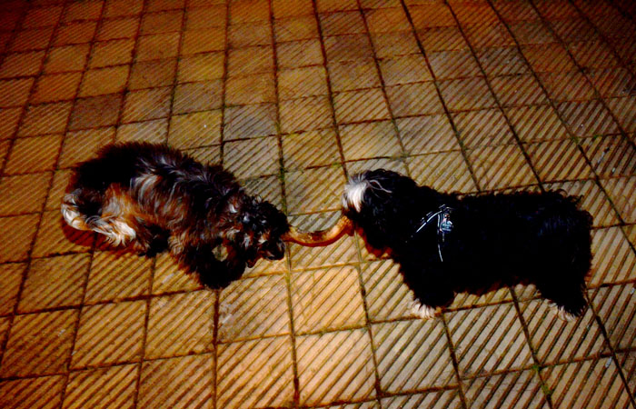 2015-06-06_23-12-24