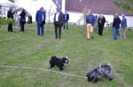 2015-06-06_21-04-15