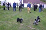2015-06-06_21-04-16
