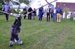 2015-06-06_21-04-50
