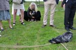 2015-06-06_21-11-19
