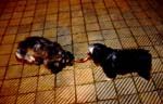 2015-06-06_23-12-24