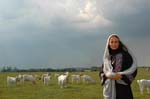 Sherin-2006-071