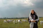 Sherin-2006-086