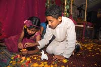 wedding-2992