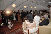 wedding-3146