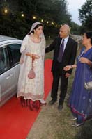 wedding-3167