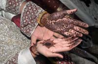 wedding-3312