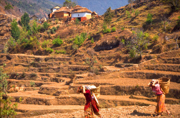 Nepal-0230
