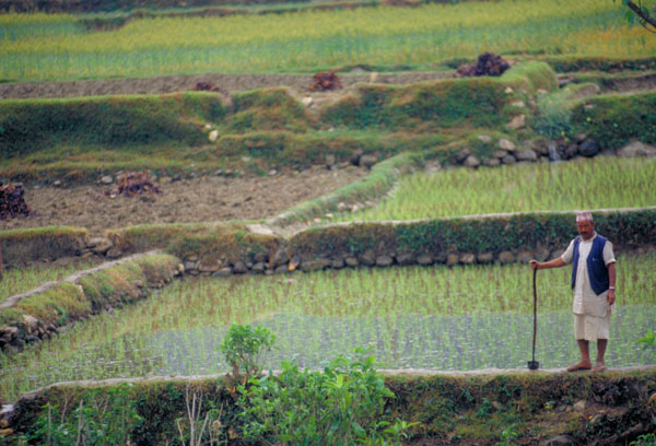 Nepal-0451