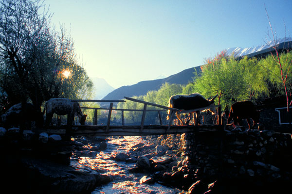 Nepal-0488