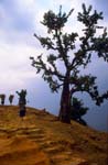 Nepal-0120