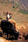 Nepal-0435