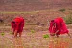 Nepal-0449