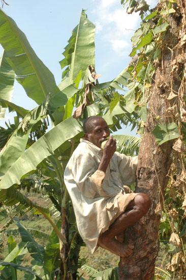 Batwa-Kitahuria-082