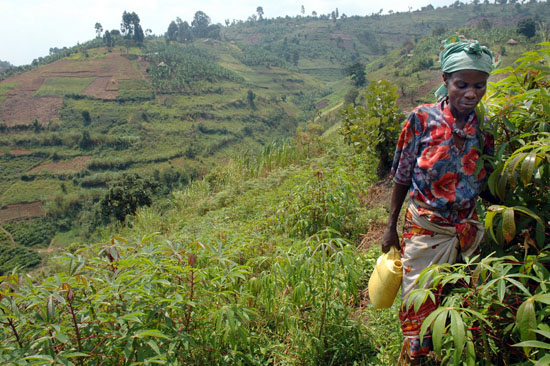 Batwa-Kitahuria-145