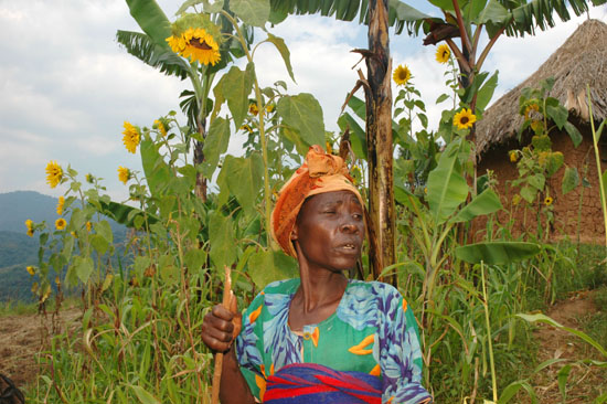 Batwa-Kitahuria-176