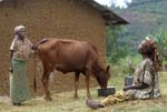Batwa-Kitario-215