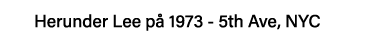 Herunder Lee på 1973 - 5th Ave, NYC