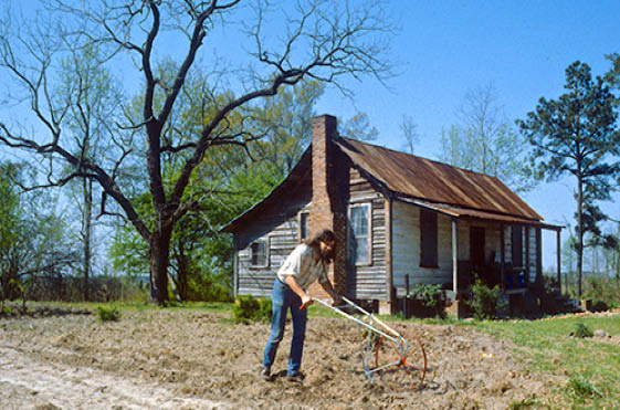  Two acres and a (Danish) mule  in 1984