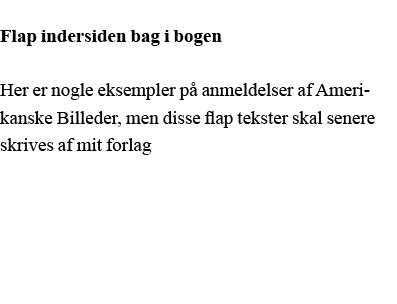 Flap indersiden bag i bogen Her er nogle eksempler på anmeldelser af Amerikanske Billeder, men disse flap tekster ska   