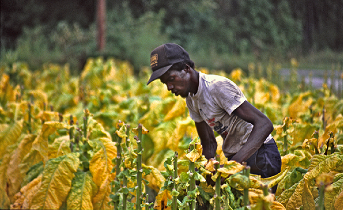 1988 - rural Bethel, NC 