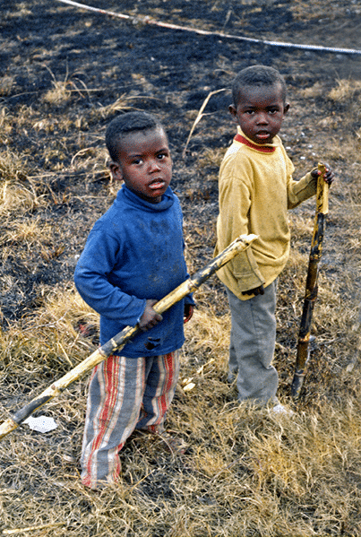 1974 - rural Houma, LA