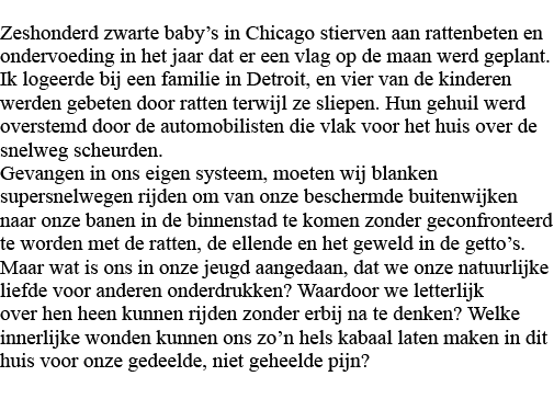 Zeshonderd zwarte baby s in Chicago stierven aan rattenbeten en ondervoeding in het jaar dat er een vlag op de maan w   