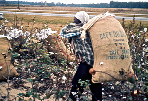 1973 - Allendale County, SC