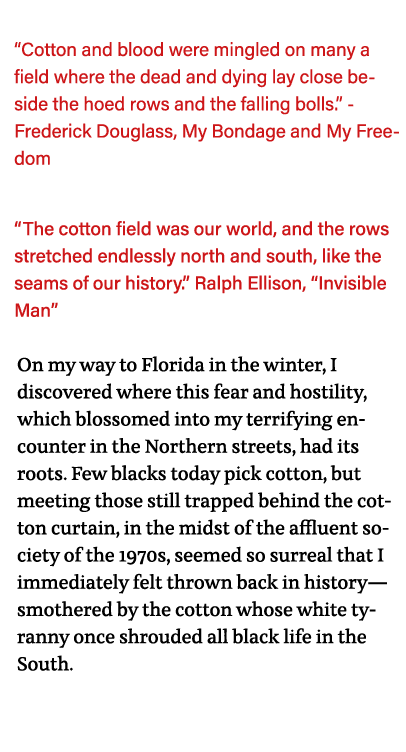   Cotton and blood were mingled on many a field where the dead and dying lay close beside the hoed rows and the falli   