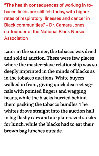  The health consequences of working in tobacco fields are still felt today, with higher rates of respiratory illnesse   