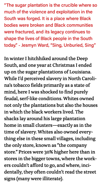  The sugar plantation is the crucible where so much of the violence and exploitation in the South was forged  It is a   
