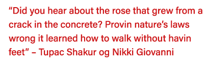  Did you hear about the rose that grew from a crack in the concrete  Provin nature s laws wrong it learned how to wal   