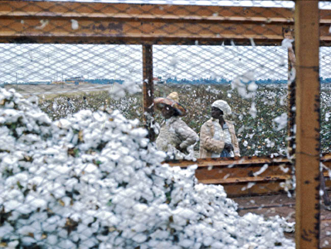 1973 - Allendale County, SC