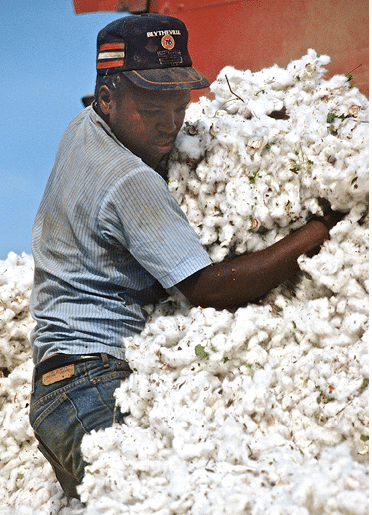 2004 - rural Arkansas 