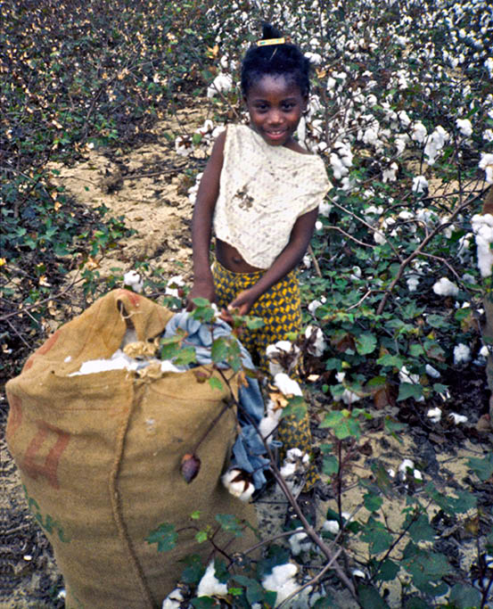 1974 - Allendale County, SC