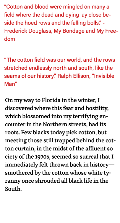   Cotton and blood were mingled on many a field where the dead and dying lay close beside the hoed rows and the falli   